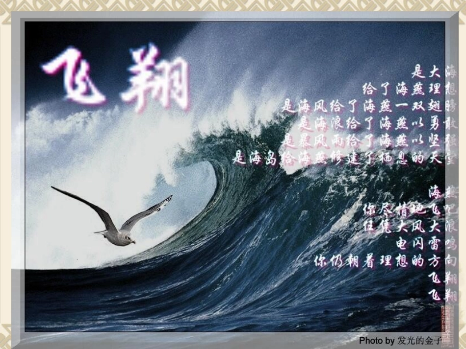 【编辑推荐】第9课《海燕》课件_第3页