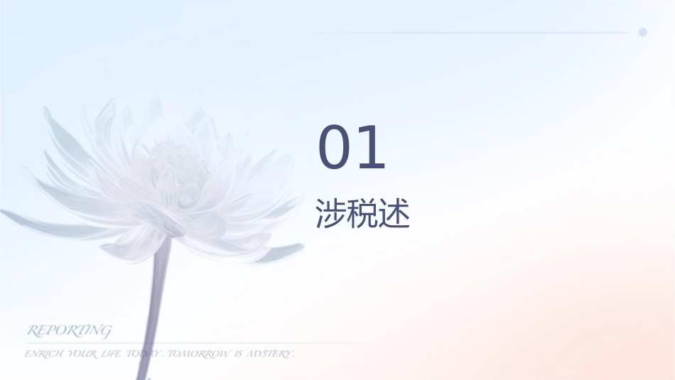 如何防范涉税风险和接受税务检查课件_第3页