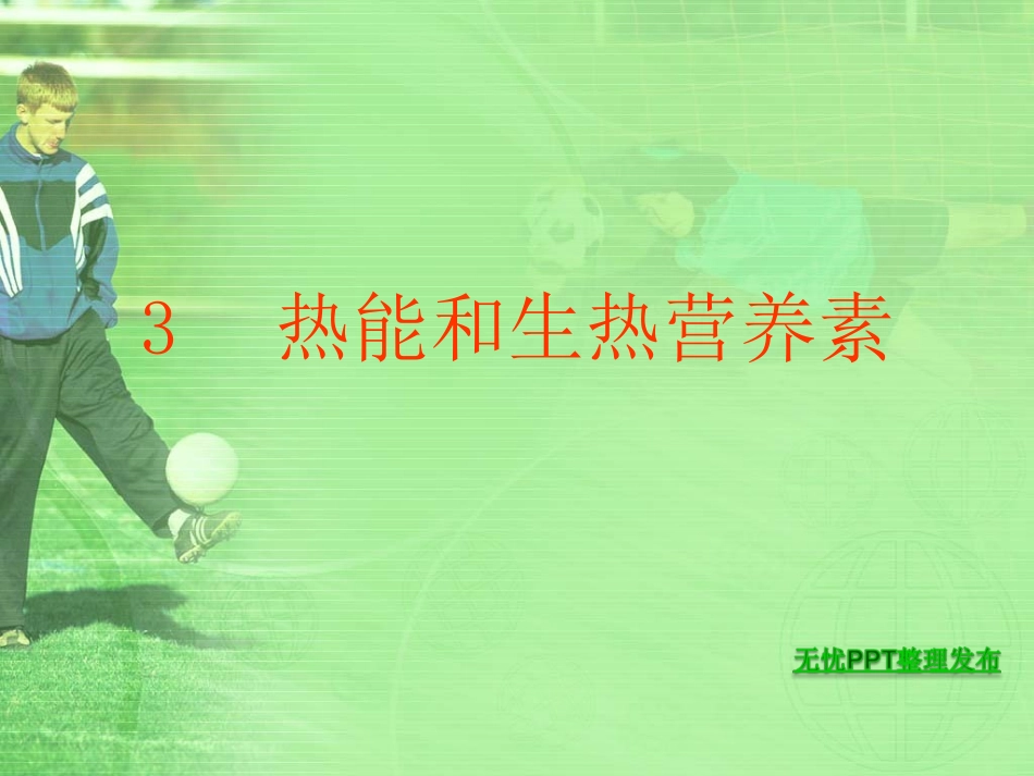 热能和生热营养素(精)_第1页