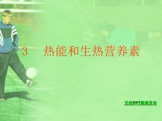 热能和生热营养素(精)