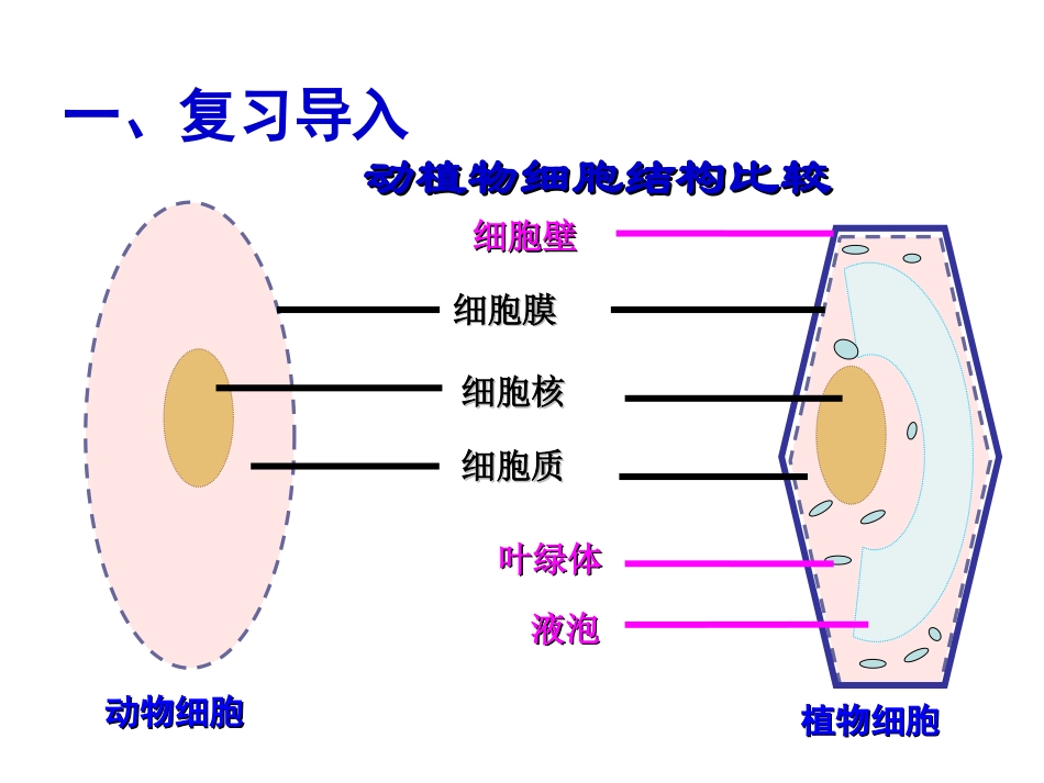 第一节细胞的生活需要物质和能量_第2页