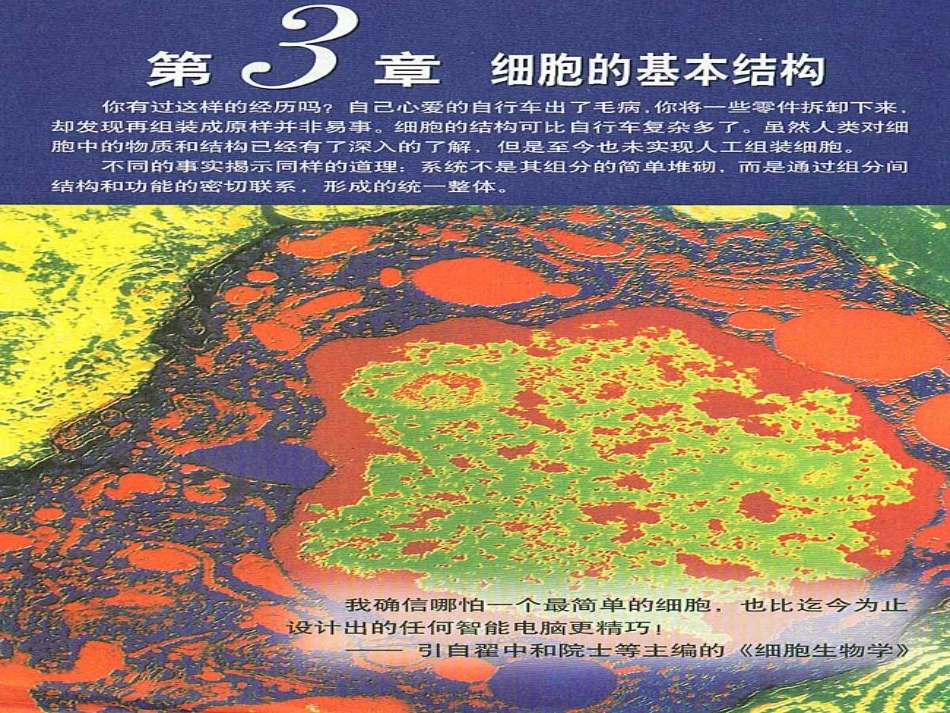必修1第三章第1节《细胞膜--系统的边界》修改_第1页