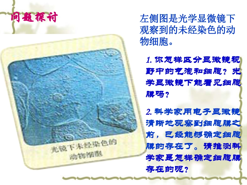 必修1第三章第1节《细胞膜--系统的边界》修改_第2页