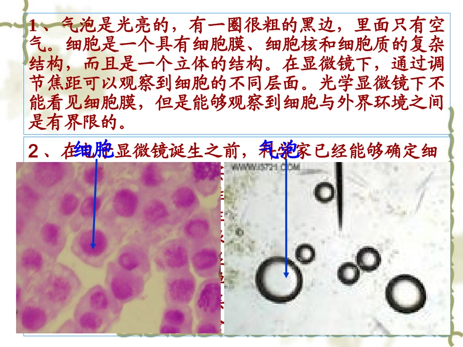 必修1第三章第1节《细胞膜--系统的边界》修改_第3页