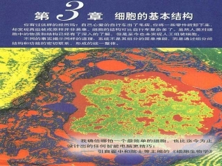 必修1第三章第1节《细胞膜--系统的边界》修改