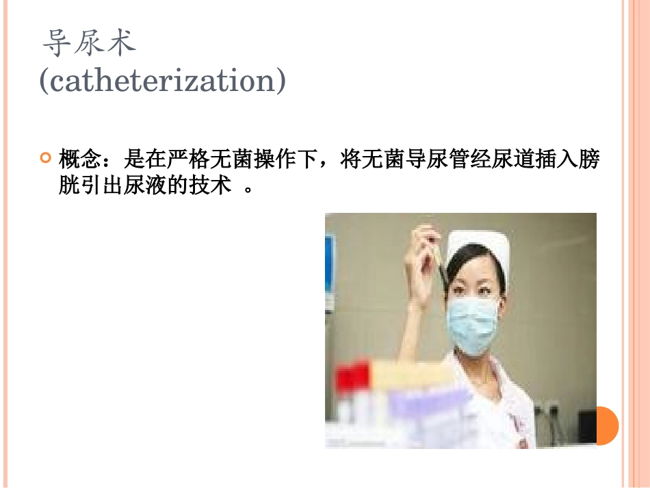 导尿PPT详解_第2页