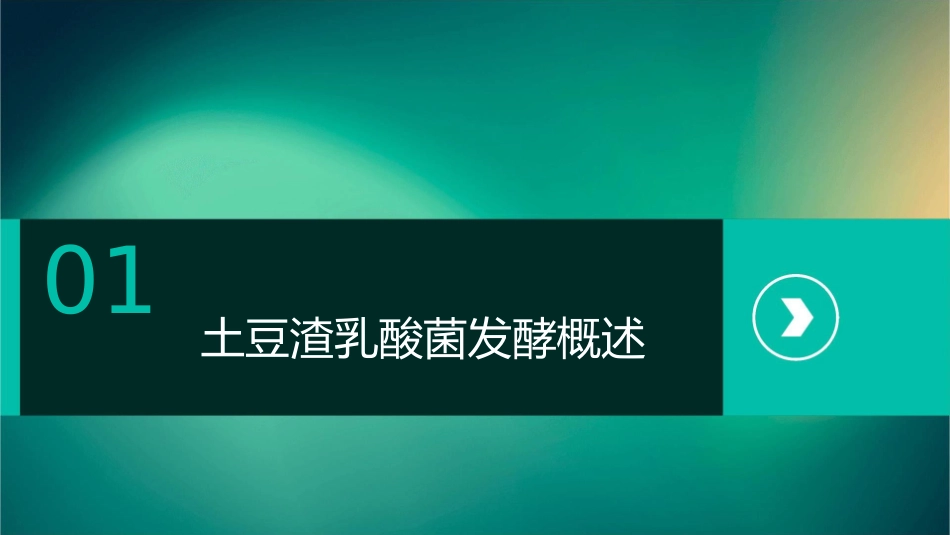 土豆渣乳酸菌发酵讲义护理课件_第3页