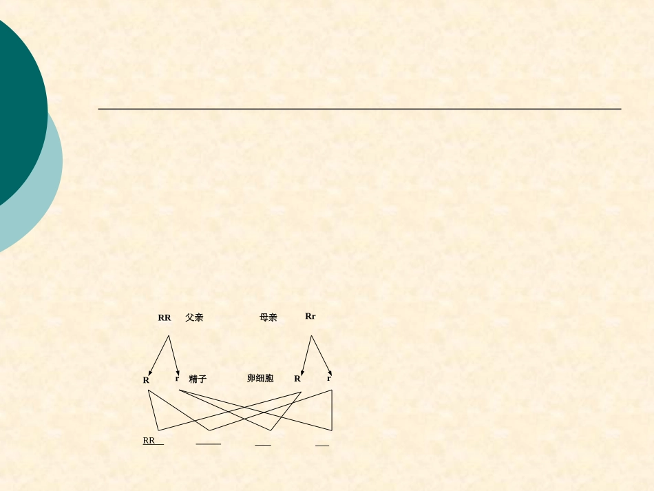 人体废物的排出_第2页
