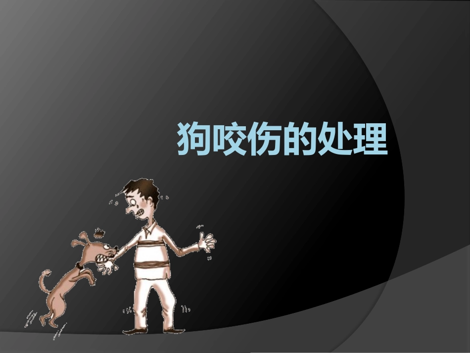 狗咬伤的处理_第1页