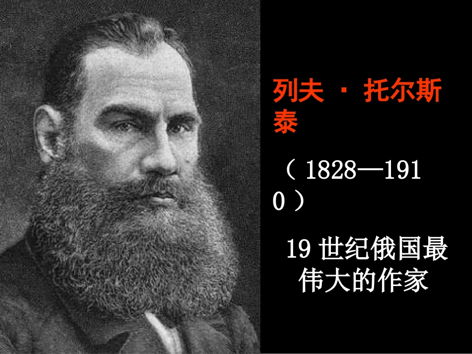 列夫托尔斯泰——茨威格___第2页