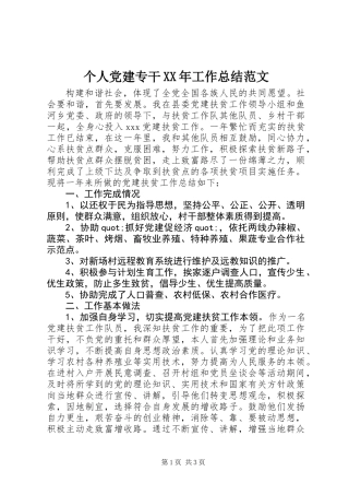 个人党建专干XX年工作总结范文