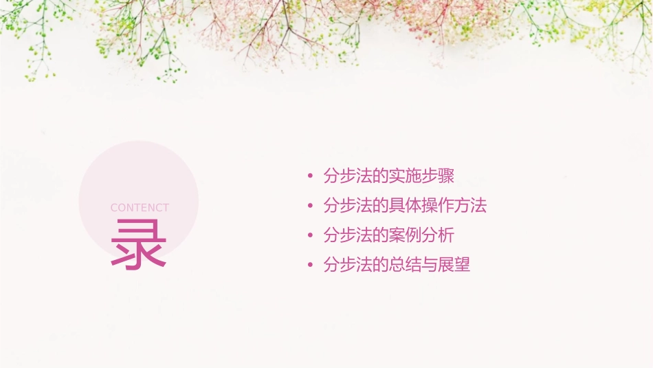 分步法新张宁课件_第2页