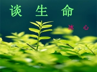 九年级上《冰心：谈生命》赛教