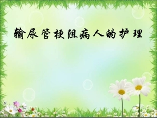 输尿管梗阻病人
