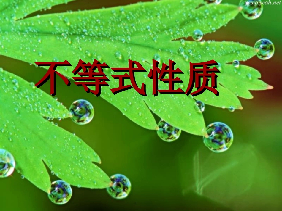 不等式的复习（1）_第1页