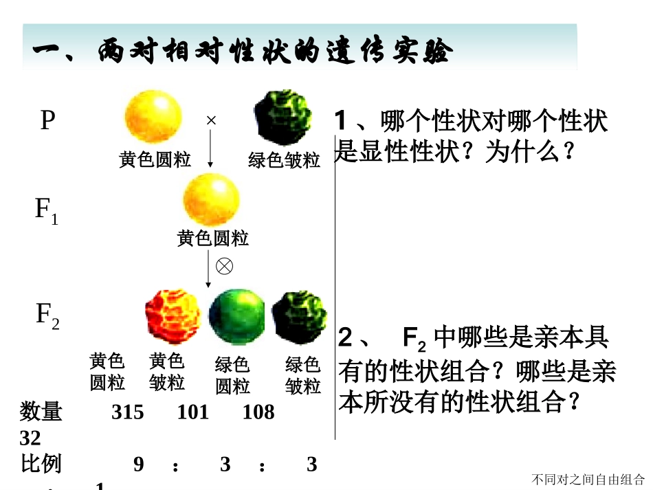妈妈和姐姐都是单眼皮-我是双眼皮-猜猜我爸爸是双眼皮还_第3页