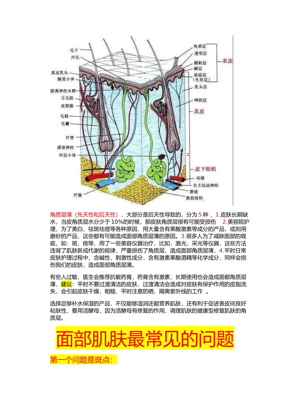 各种皮肤问题形成的原因_第3页