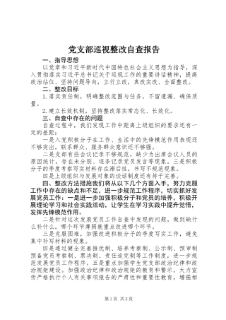 党支部巡视整改自查报告 (2)