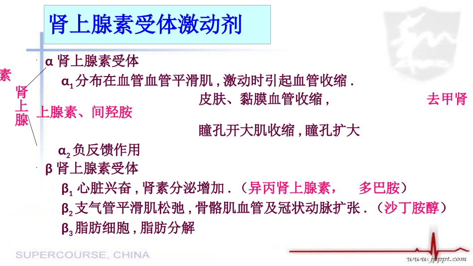 常规急救药品使用_第3页