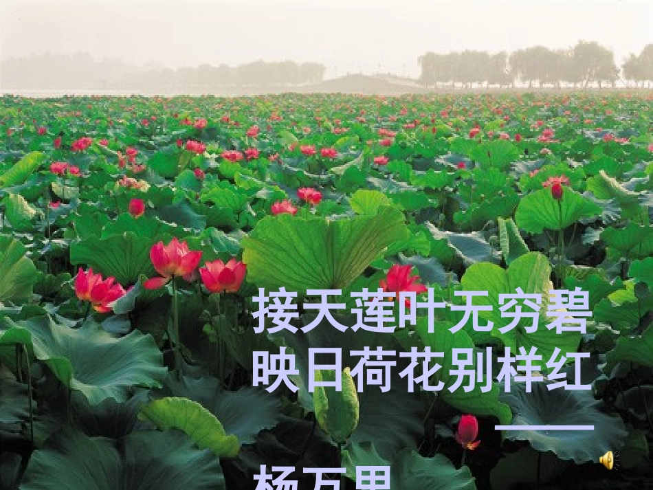 湖心亭看雪 (3)_第2页