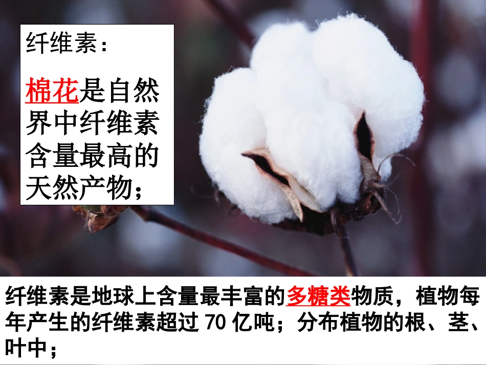 (选修一)_2.3分解纤维素的微生物的分离_第1页