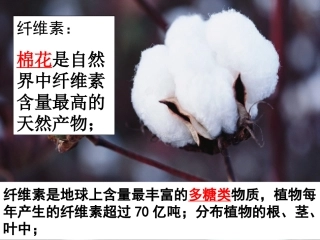 (选修一)_2.3分解纤维素的微生物的分离