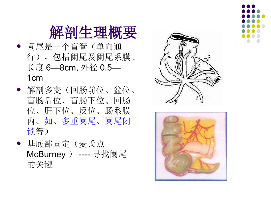 急性阑尾炎-(2)_第2页