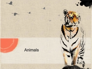 六年级上unit5animalsindanger