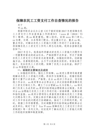保障农民工工资支付工作自查情况的报告