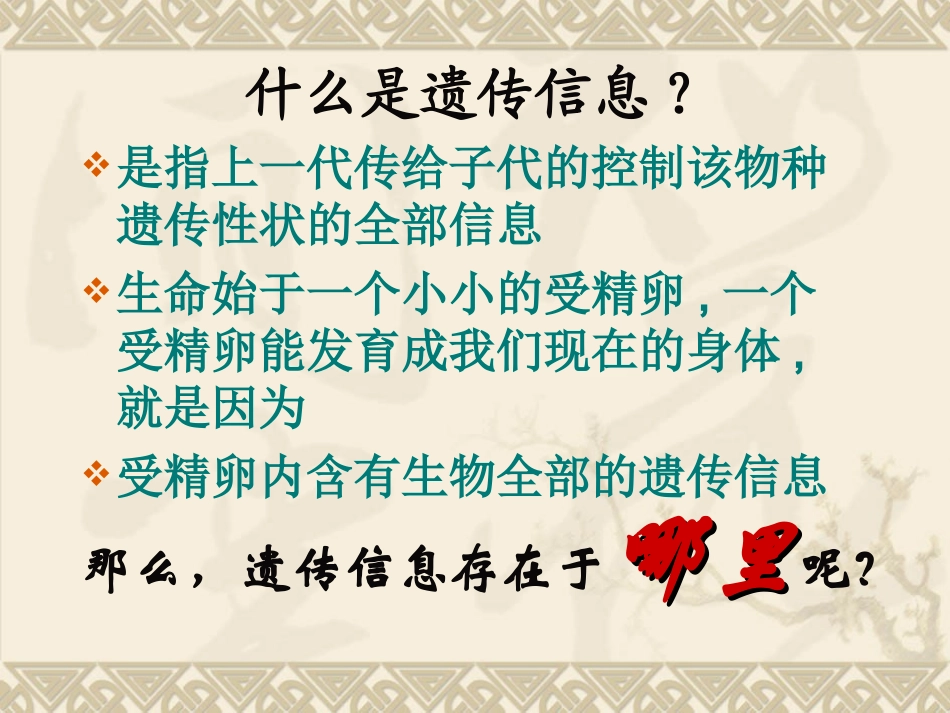 细胞核是遗传信息库课件_第2页