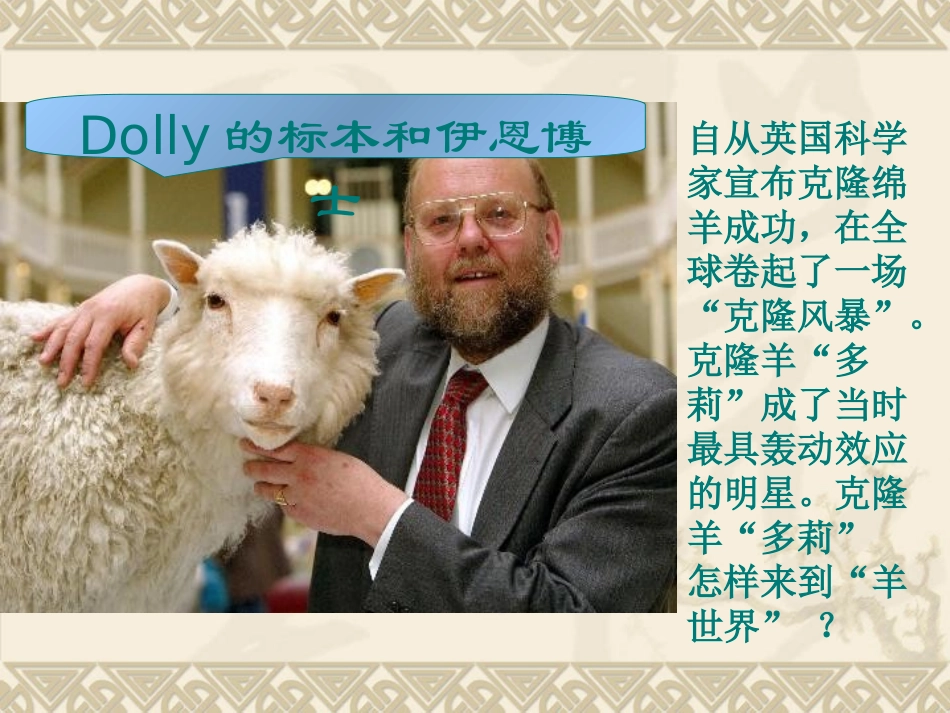 细胞核是遗传信息库课件_第3页