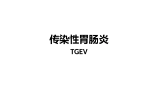 传染性胃肠炎TGEV