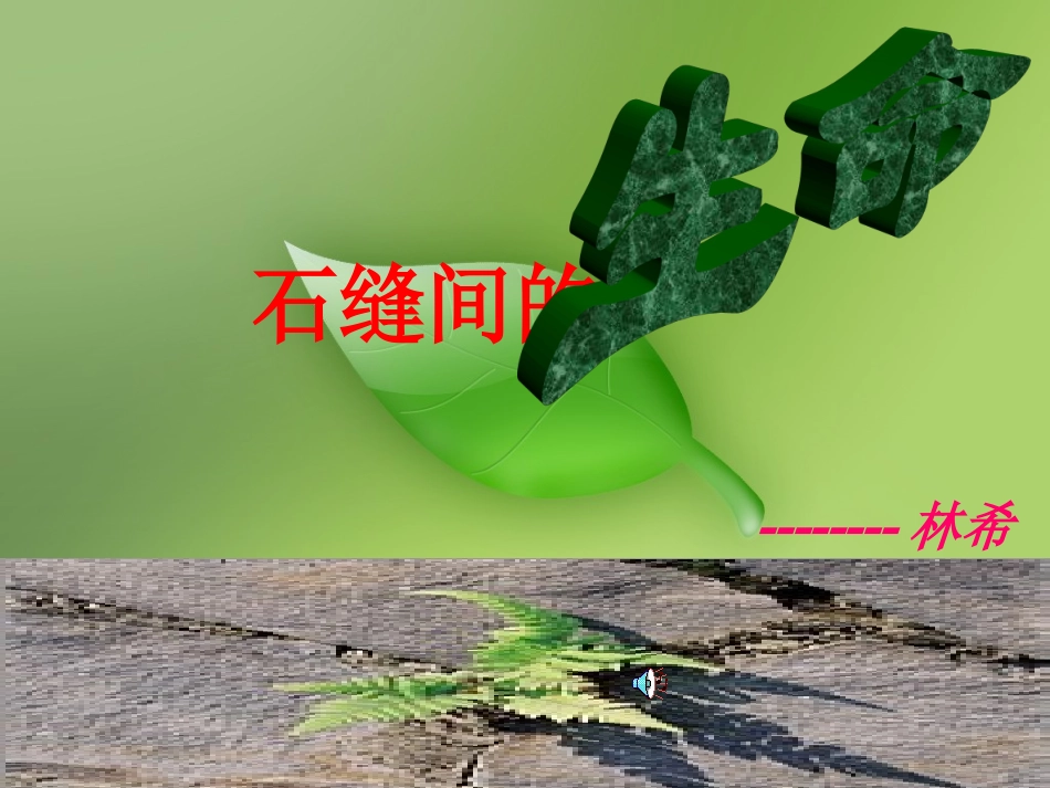 《石缝间的生命》课件2（13张PPT）（语文版九年级下）_第1页
