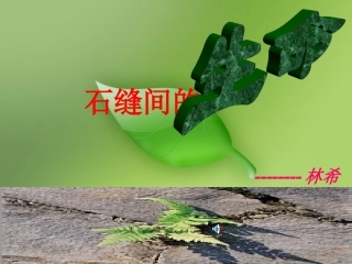 《石缝间的生命》课件2（13张PPT）（语文版九年级下）