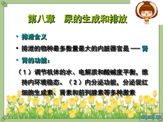 电学屏障带负电的糖蛋白排斥带负电的血浆蛋白