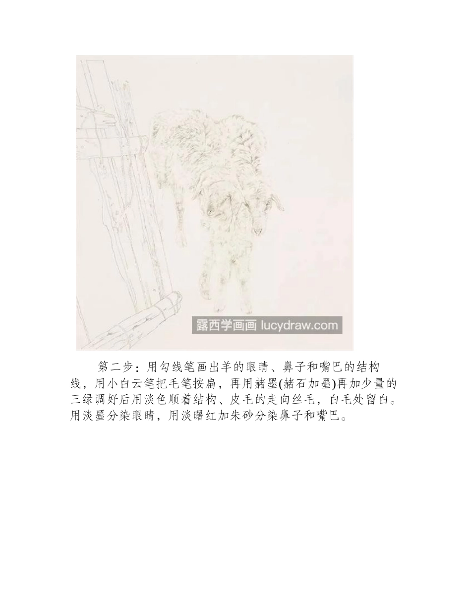 绵羊怎么画_有哪些绘画步骤_素描教程_第2页