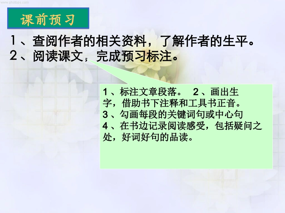 《童年的朋友》课件5_第3页