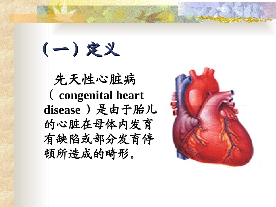 常见简单先心病讲义_第2页