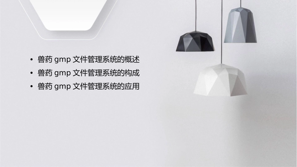 兽药GMP文件管理系统资料课件_第2页