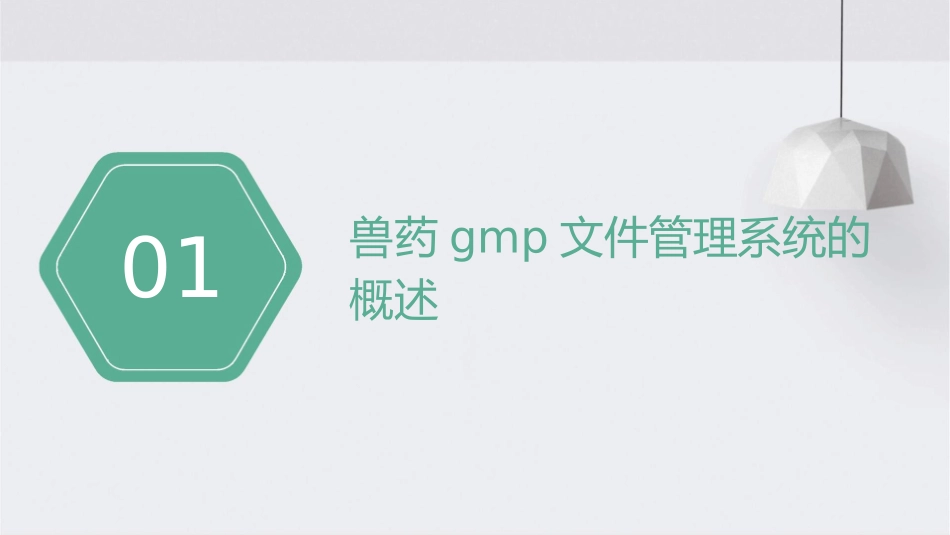兽药GMP文件管理系统资料课件_第3页