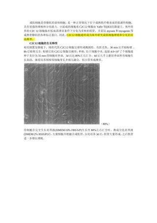 C2C12细胞的生长特性