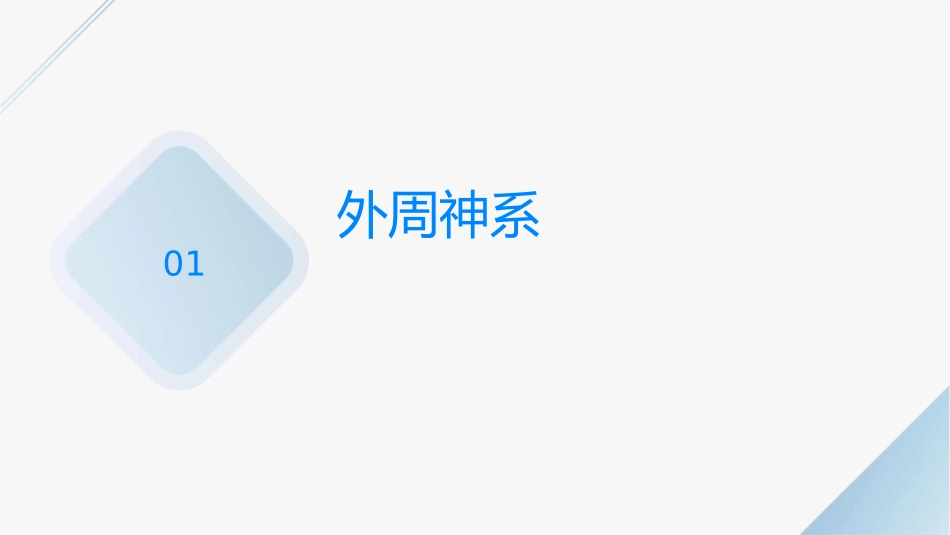 外周神经系统药理教学课件_第3页