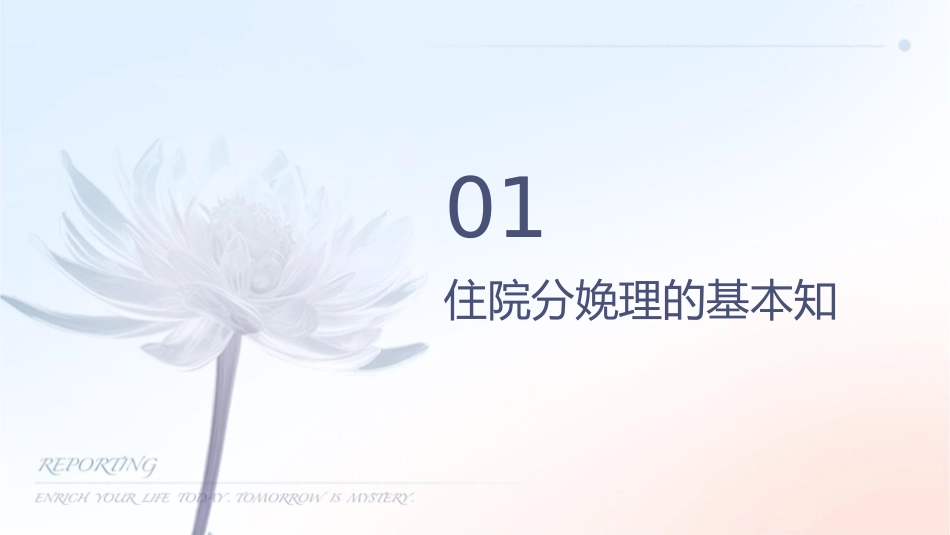 妇女保健之住院分娩护理课件_第3页