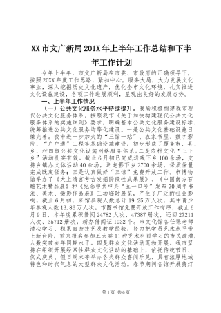 XX市文广新局201X年上半年工作总结和下半年工作计划
