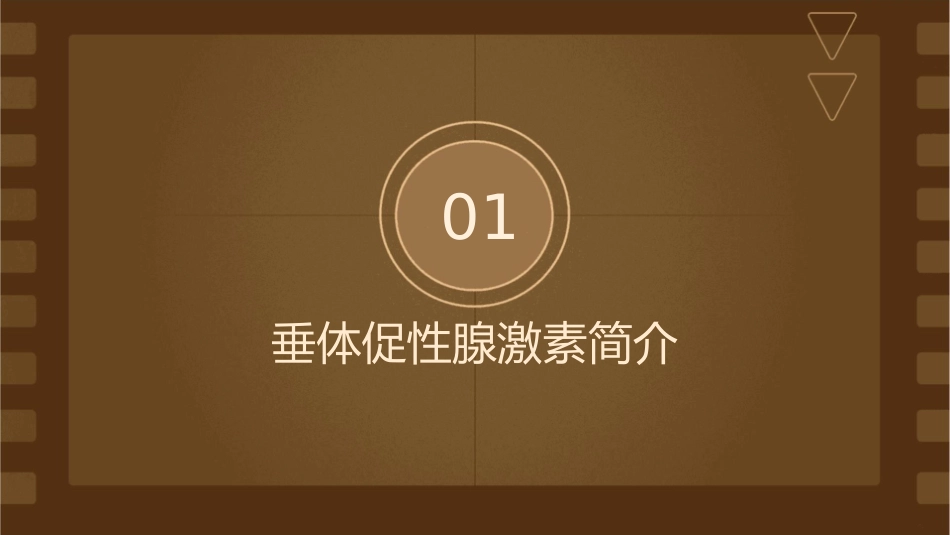 垂体促性腺激素课件_第3页