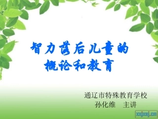 特殊儿童-智障-(新)