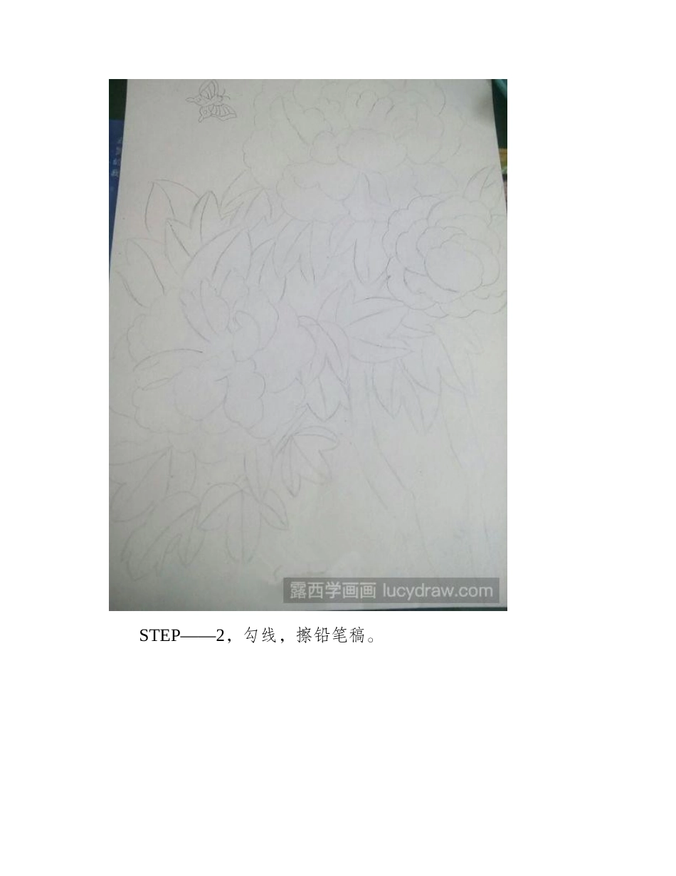 牡丹色粉画教程色粉画教程_第2页