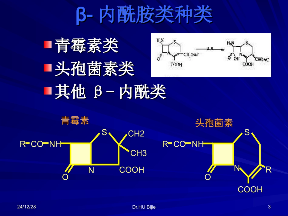 抗细菌感染基础知识指导_第3页