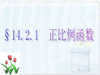 正比例函数课件2