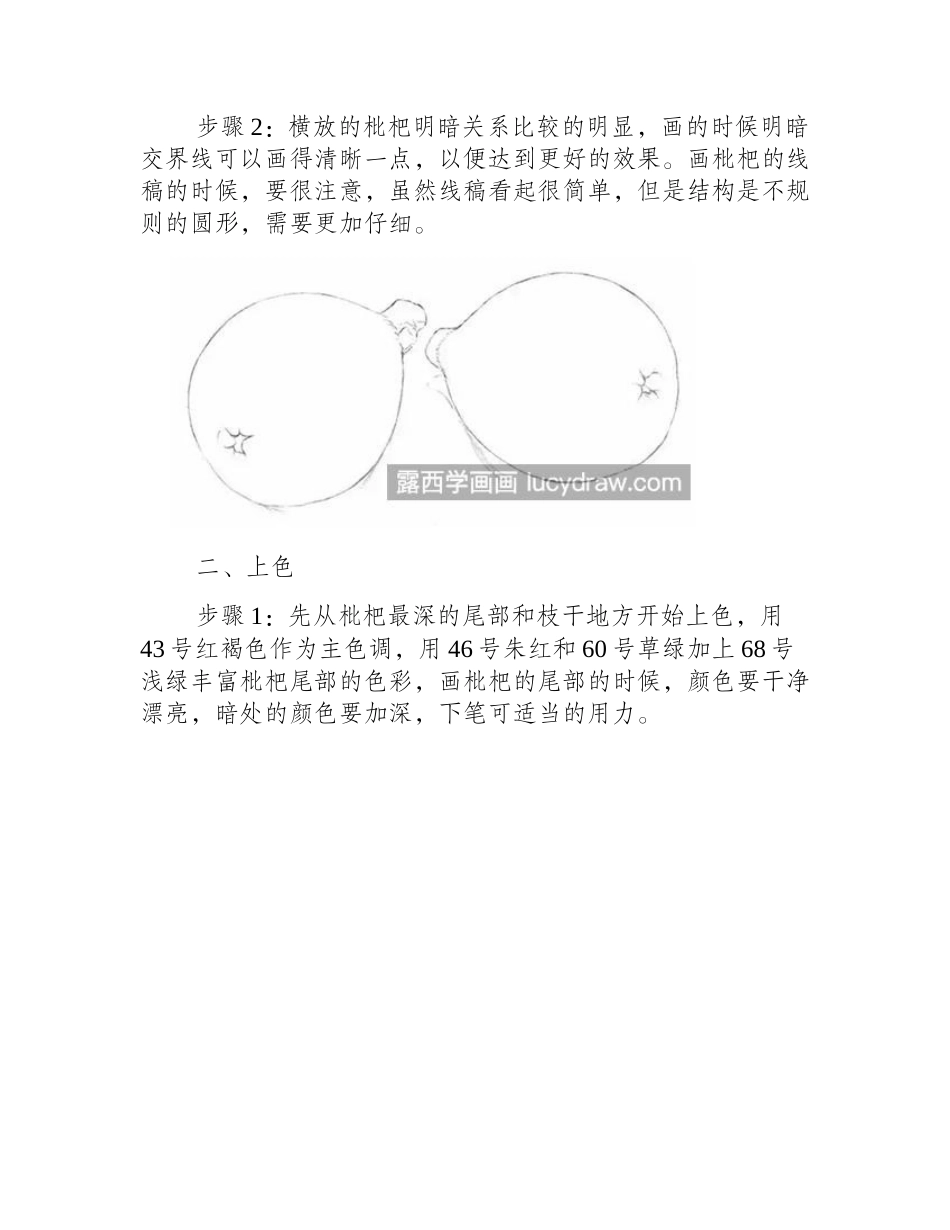 枇杷怎么画_教你画两个彩铅枇杷彩铅画教程_第2页